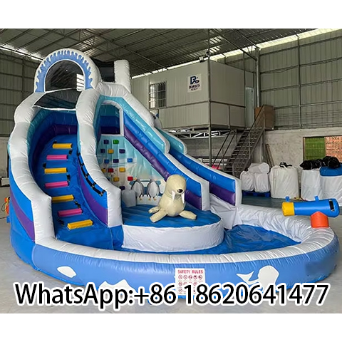 New Design Inflatable Water Slide Outdoor Bounce House  for  Kids