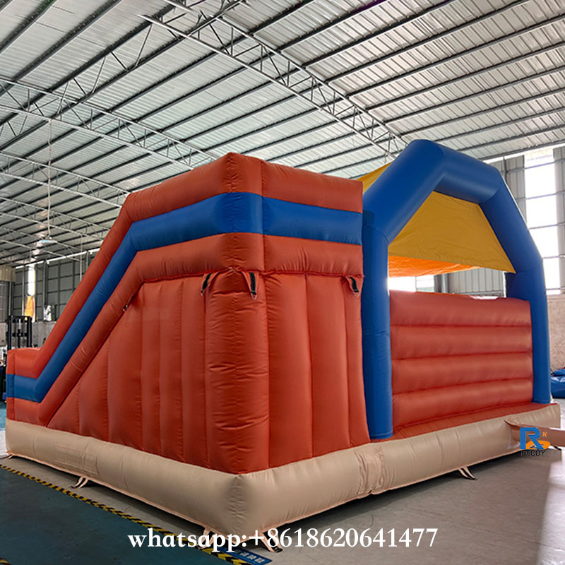 Bluey-Themed Inflatable Slide Bounce House inflatable castle