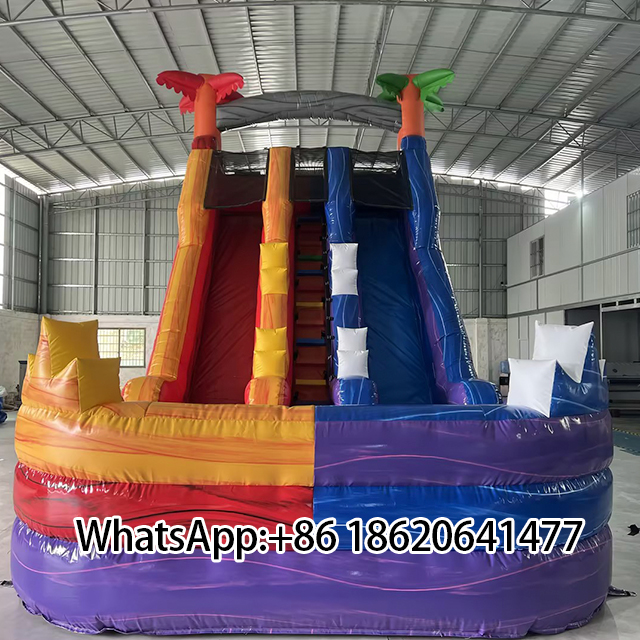 Vibrant Two - Lane Inflatable Slide for Fun - Seekers