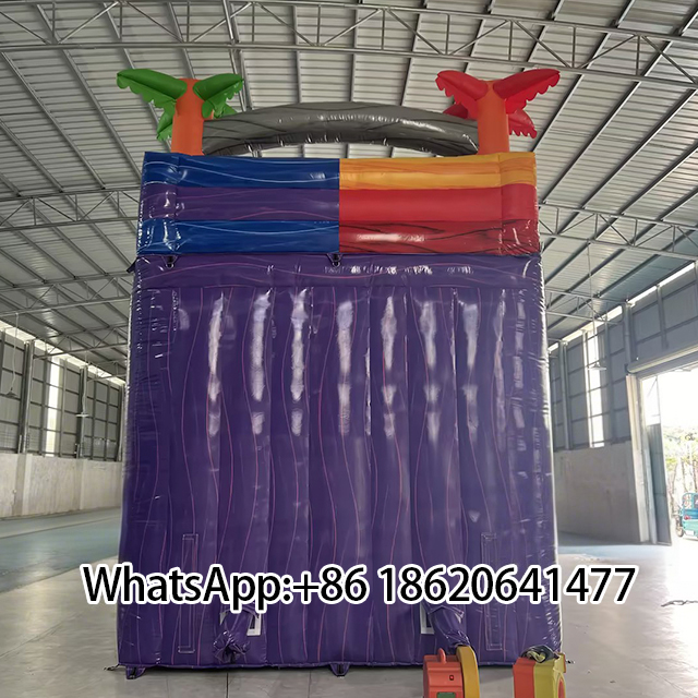 Vibrant Two - Lane Inflatable Slide for Fun - Seekers