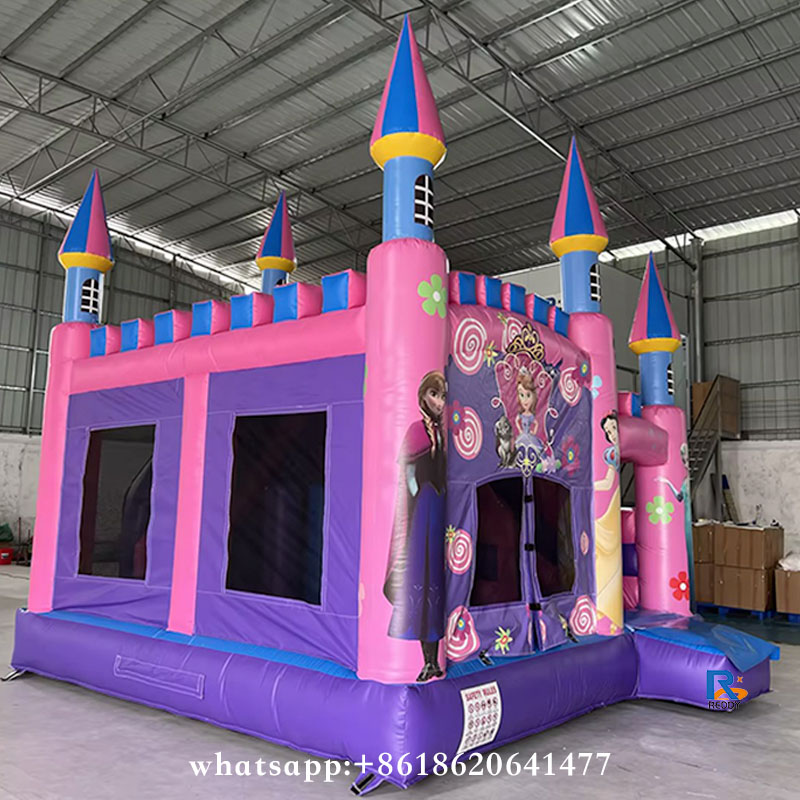Princess Sofia Themed Inflatable Castle bouncy castle inflatable