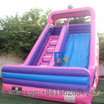 inflatable slide dolphin
