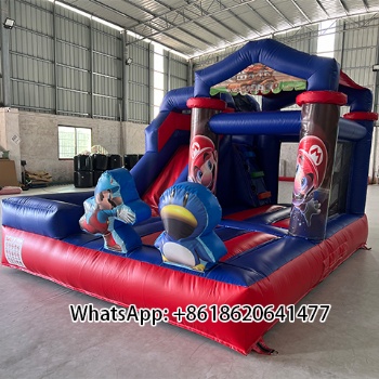Mario Inflatable Dry Slide with Cartoon Mushroom Theme and Outdoor Play Area