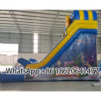 Hot Sale Inflatable  Water Slide with Pool Jumping Bounce for Outdoor