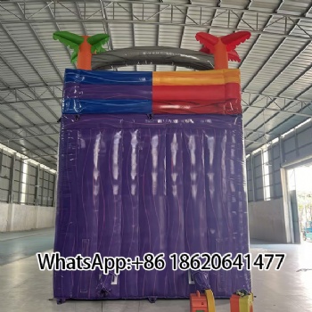 Vibrant Two - Lane Inflatable Slide for Fun - Seekers