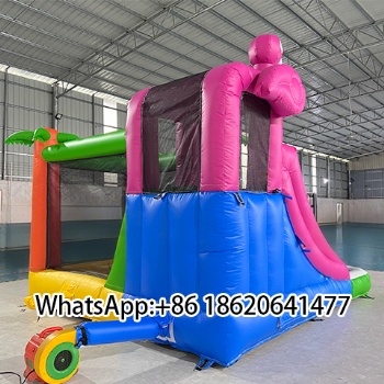 Inflatable Combo with Slide, Pool and Tropical - themed Decor