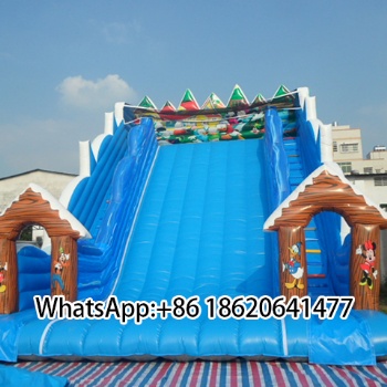 Inflatable Slide with Cartoon Decor: Perfect for Kids' Playgrounds