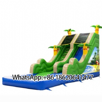 Tropical Inflatable Slide:Double the Fun for Summer Water Play