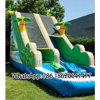 Tropical Inflatable Slide:Double the Fun for Summer Water Play