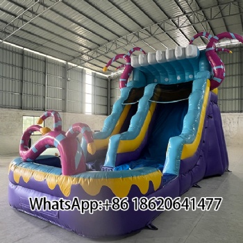 Giant Inflatable Water Slide with Pool – Ultimate Backyard Fun