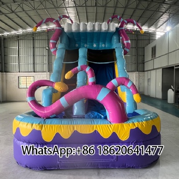 Giant Inflatable Water Slide with Pool – Ultimate Backyard Fun