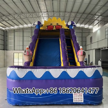 Inflatable Water Slide for Kids & Adults – Perfect for Summer Fun