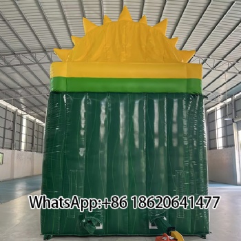 Inflatable Water Slide with Tropical Theme – Ideal for Outdoor Amusement