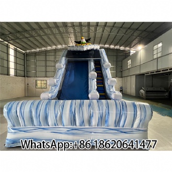 Inflatable Water Slide with Penguin Theme – Arctic Adventure Fun