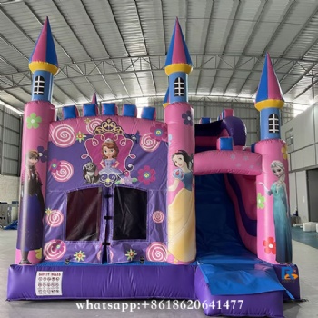 Princess Sofia Themed Inflatable Castle     bouncy castle inflatable