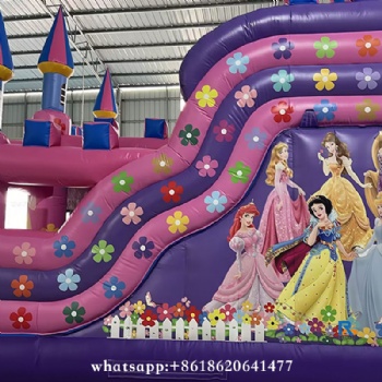 Princess Sofia Themed Inflatable Castle bouncy castle inflatable
