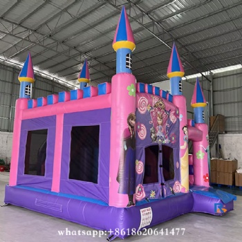 Princess Sofia Themed Inflatable Castle bouncy castle inflatable