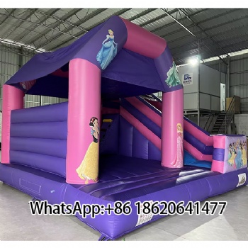 Princess - Themed Inflatable Bounce House with Slide: Perfect for Kids’ Parties & Outdoor Play